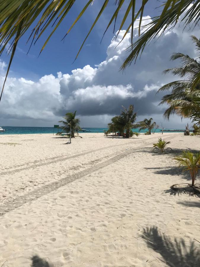 Malas Island View Fulidhoo Εξωτερικό φωτογραφία
