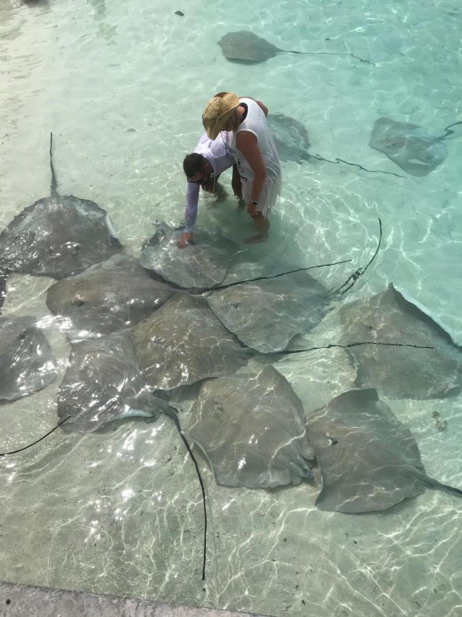 Malas Island View Fulidhoo Εξωτερικό φωτογραφία