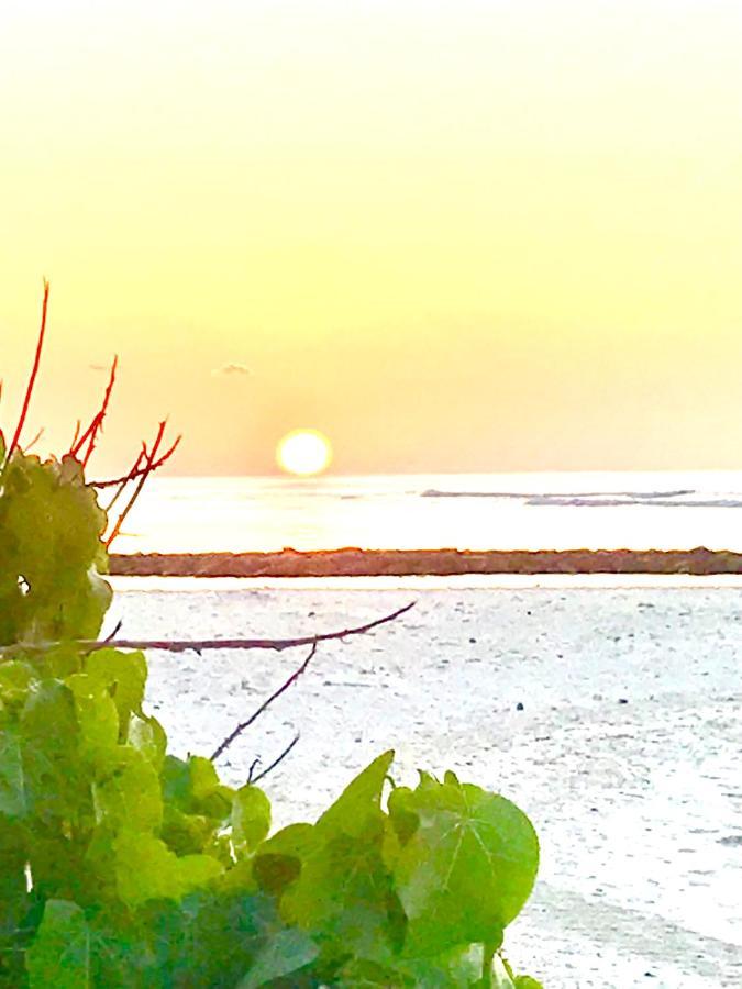 Malas Island View Fulidhoo Εξωτερικό φωτογραφία