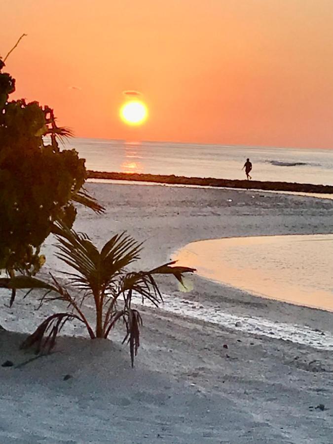 Malas Island View Fulidhoo Εξωτερικό φωτογραφία
